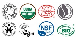 organicbeautyblogger com2