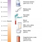 pH_Scale